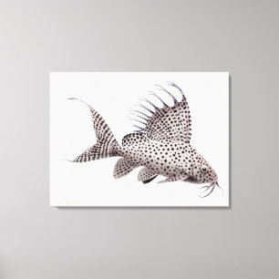 Synodontis Eupterus havskatt slågen in kanfas Canvastryck
