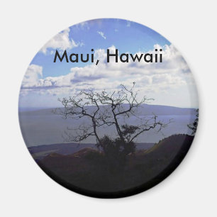 Synpunkter från Maui Magnet