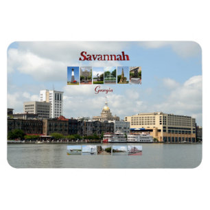 Synpunkter från Savannah, Georgien Magnet