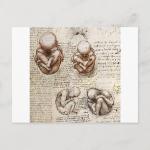 Synpunkter på en Fetus i Womb Vykort