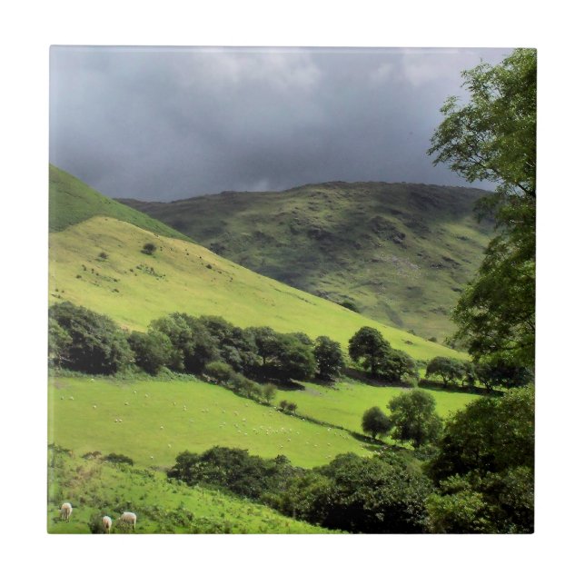 SYNPUNKTER PÅ WALES UK KAKELPLATTA (Framsidan)