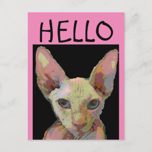SYPHNX HAIRLESS CAT-HEJ vykort