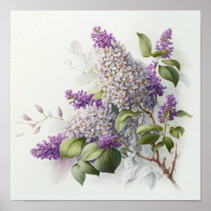 Syrenblommor Konsttryck Affisch