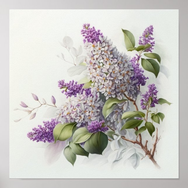Syrenblommor Konsttryck Affisch (Framsidan)