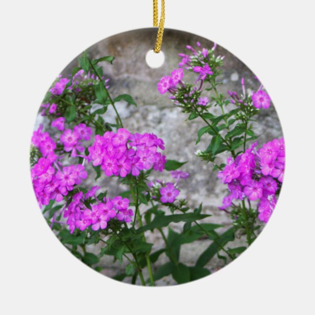 Syrenblommor Ornament  (Framsidan)