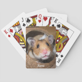 Syrian Pet Hamster - Standard Hamster - Nalle Casinokort