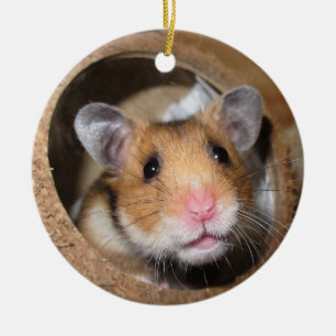 Syrian Pet Hamster - Standard Hamster - Nalle Julgransprydnad Keramik