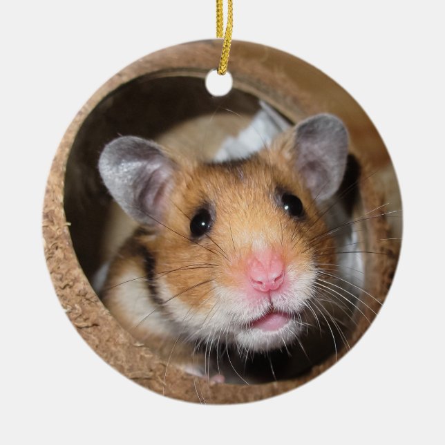 Syrian Pet Hamster - Standard Hamster - Nalle Julgransprydnad Keramik (Framsidan)