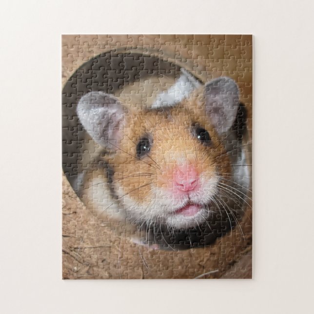 Syrian Pet Hamster - Standard Hamster - Nalle Pussel (Vertikal)