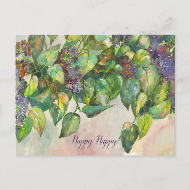 syringa vykort (Framsida)