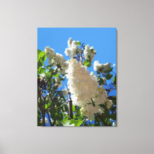 Syringa, White Lilac Flower Träd Canvastryck