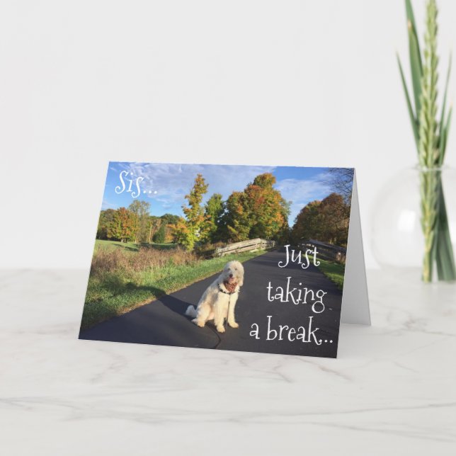 **SYRRAN** ATT TA ETT BROTT FÖR ATT SÄGA "GRATTIS  KORT (Framsida)