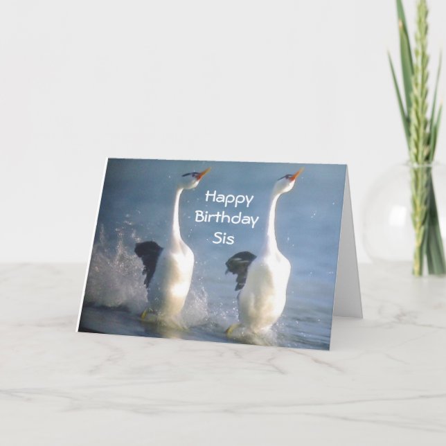 "SYRRAN-CELEBRATE ENJOY, KICK UPP DIN HÄLSA" BIRTH KORT (Framsida)
