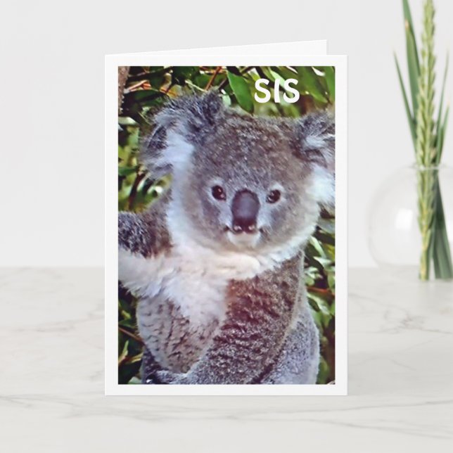 SYRRAN: "KOALA BIRTHDAY CARD ÄR BARA FÖR "DU"! KORT (Framsida)