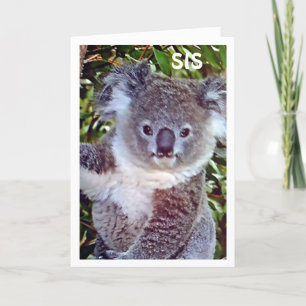 SYRRAN: "KOALA BIRTHDAY CARD ÄR BARA FÖR "DU"! KORT