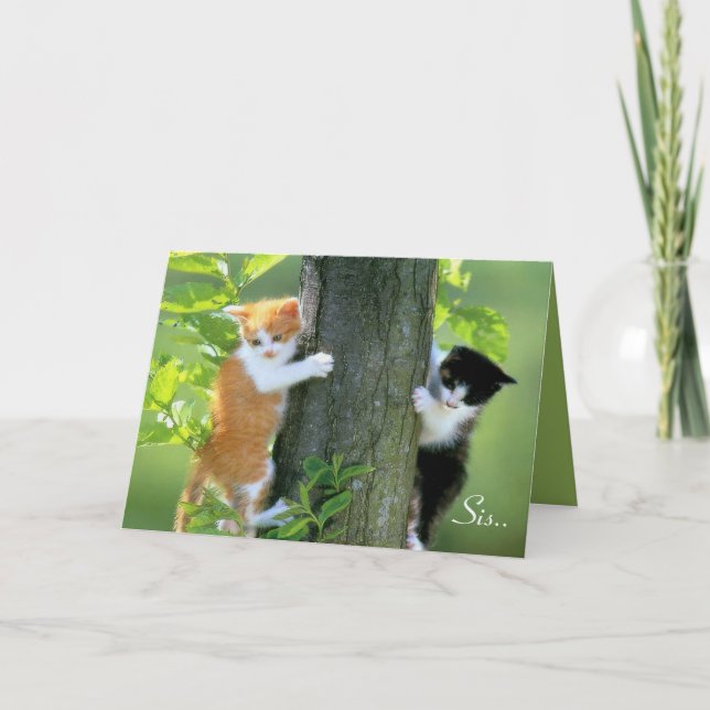 Syrran, tack för att du är där.. (Framsida)