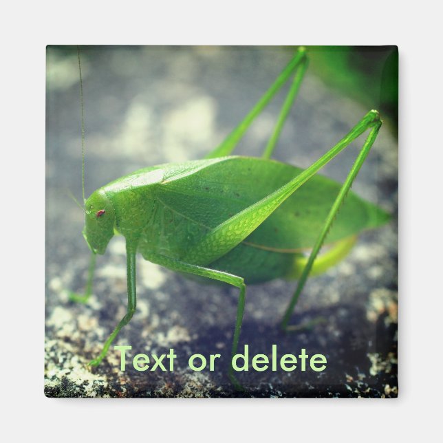 Syrsgräshoppa Natur Personlig Magnet (Framsidan)