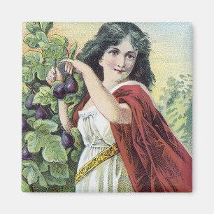 Syrup of Figs Natures Pleite Laxative Magnet