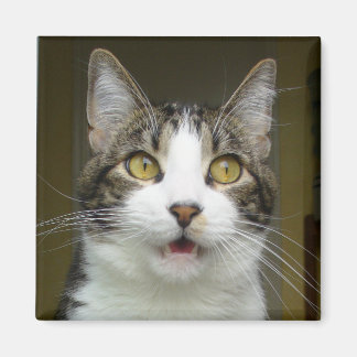 Syrus Shockad Magnet 0001