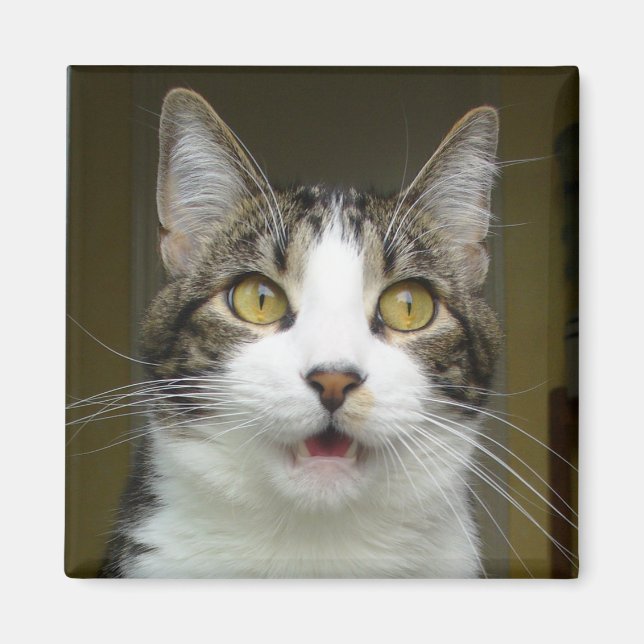 Syrus Shockad Magnet 0001 (Framsidan)