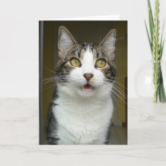 Syrus Shockat Greeting Card 0001 Kort