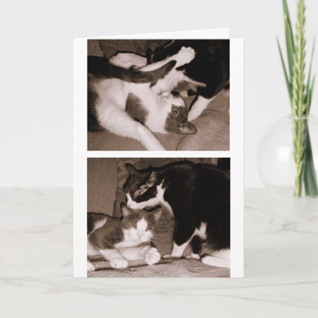 Syskon - bröder & systrar kort (Framsida)