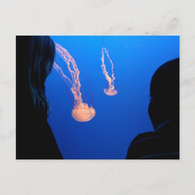 Syskon Vykort (Framsida)