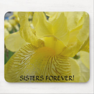SYSKONS PRESENT Musmatta Gul Iris Blomma Jul