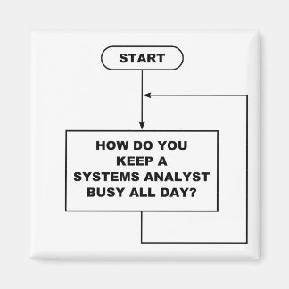 System Analyst Magnet