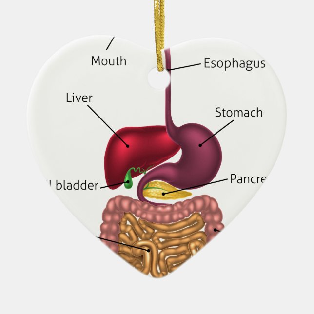 System för människadigestivkexområde julgransprydnad keramik (Framsidan)