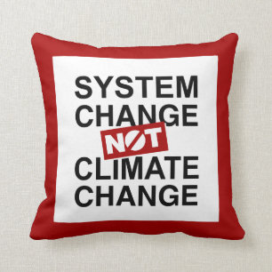 Systemförändring inte klimatförändringar kudde