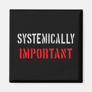 Systemiskt viktig magnet