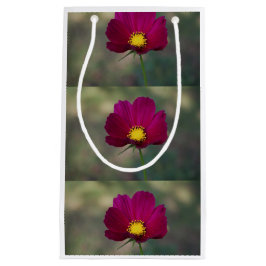 Syster perfekta blomma