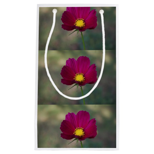 Syster perfekta blomma (Framsidan)