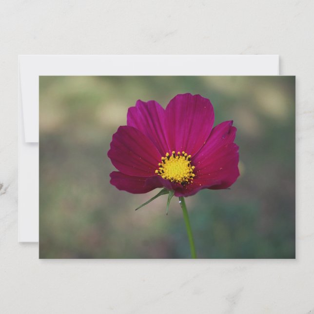 Syster perfekta blomma inbjudningar (Framsida)