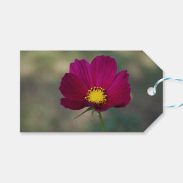 Syster perfekta blomma presentetikett