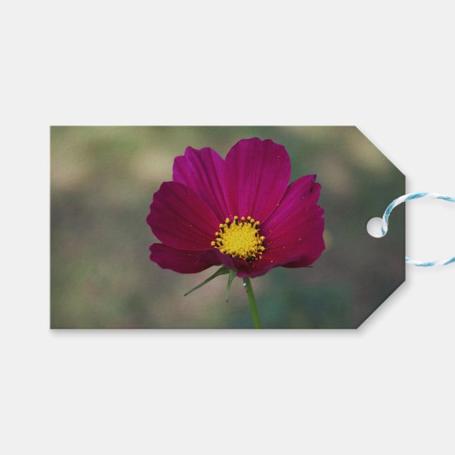 Syster perfekta blomma presentetikett (Framsidan (Horisontell))