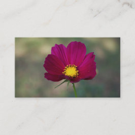 Syster perfekta blomma visitkort