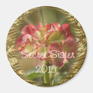 Systermagneten eller några för vanlig hortensia magnet