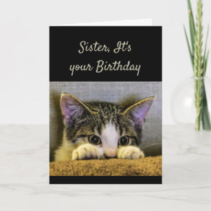 Systern kan inte gömma det är din gulliga kattunge kort