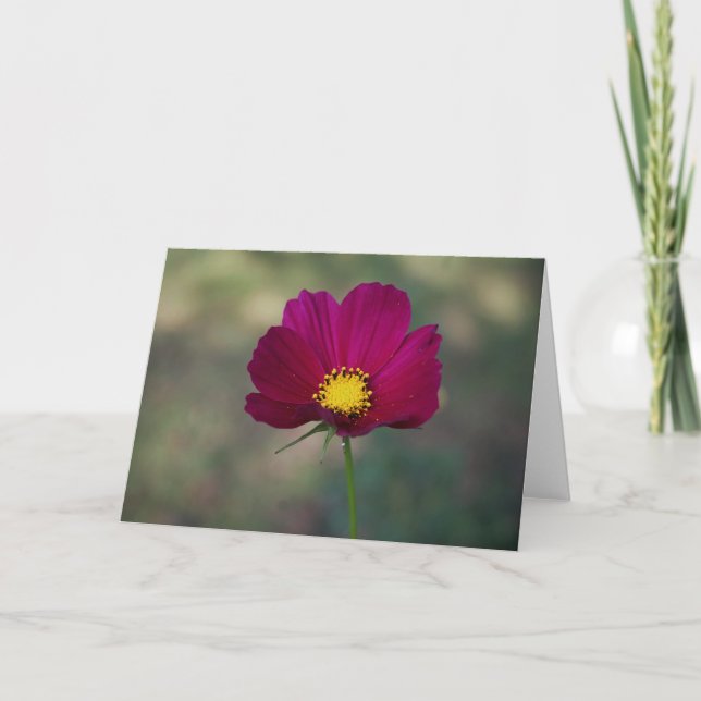 Systerns Perfekt Flower Kort (Framsida)