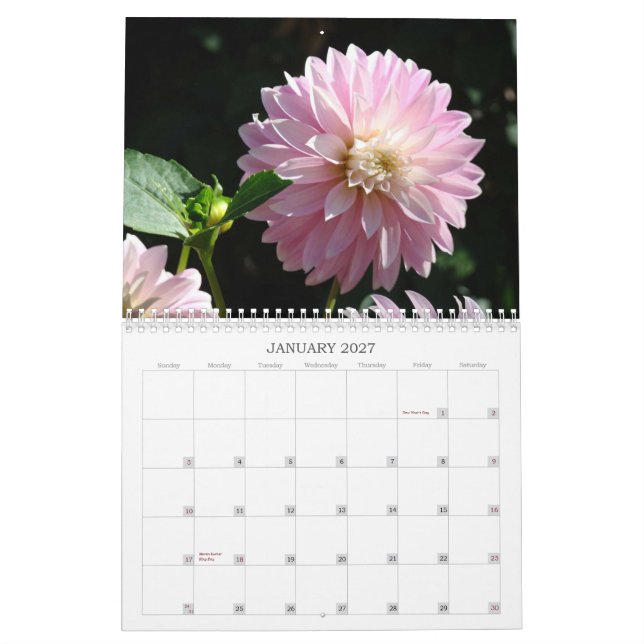 Systrar är för evigt! Kalenderpresenter till syste Kalender (Jan 2027)
