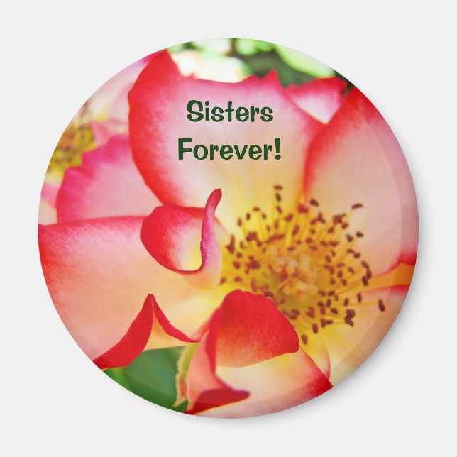 Systrar Forever! magnet Röd Vit Rosa Ros (Framsidan)