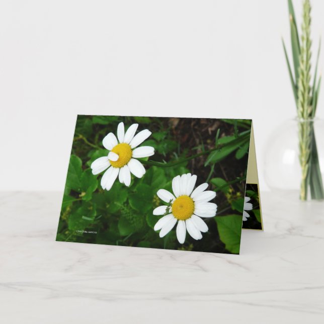 Systrar Kort (Framsida)