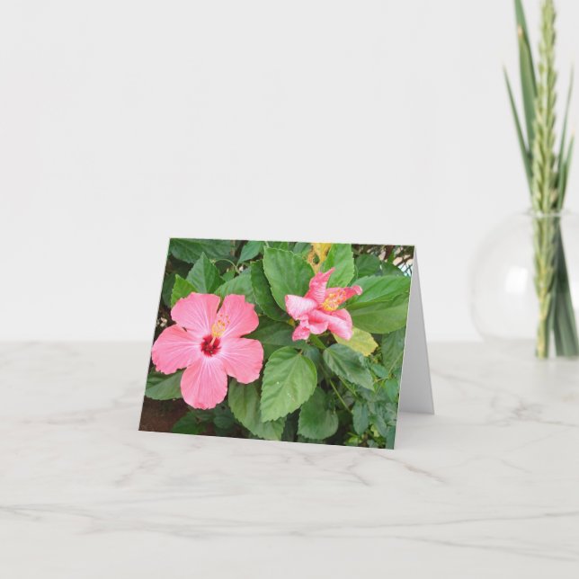 Systrar Kort (Framsida)