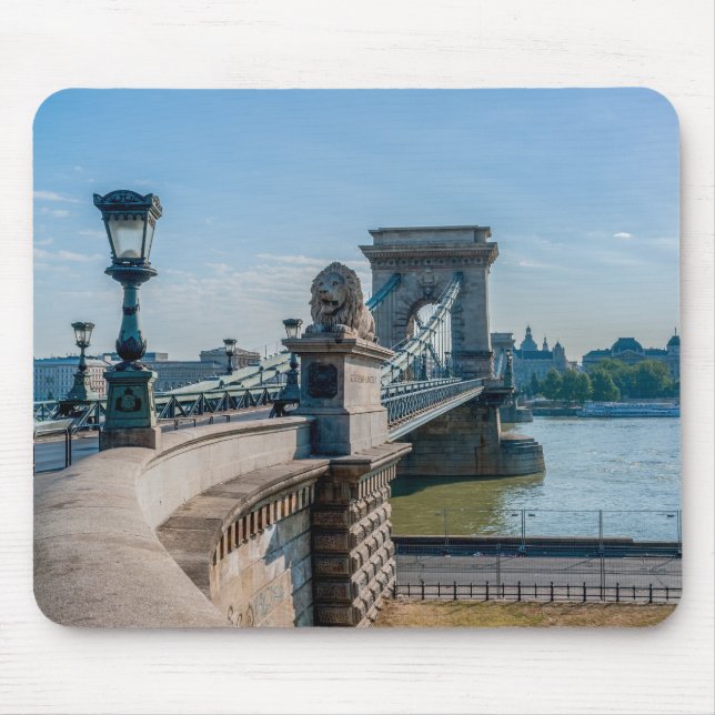 Szechenyi chain Bridge i Budapest, Ungern Musmatta (Framsidan)