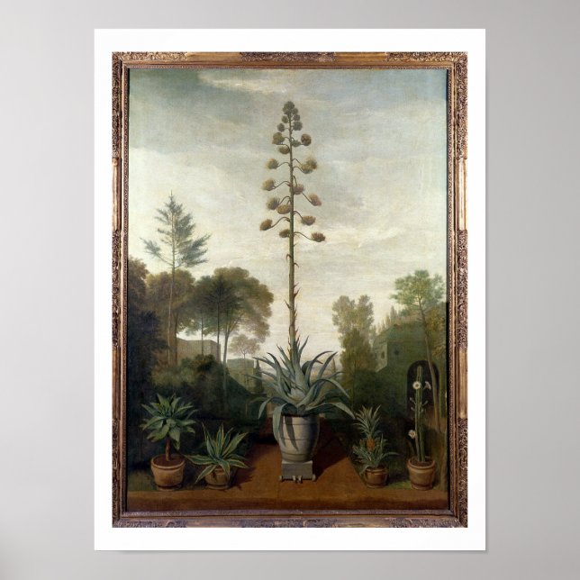T33047 A Botaniska trädgården Poster (Framsidan)