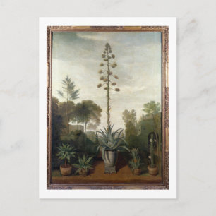 T33047 A Botaniska trädgården Vykort