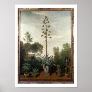 T33047 en botanisk trädgård poster