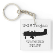 T-28 Trojan Warbird Pilot